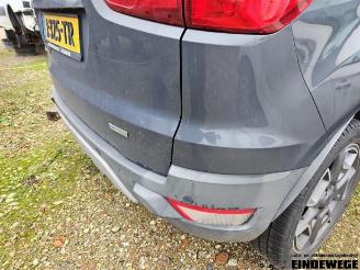 Ford EcoSport EcoSport (JK8), SUV, 2013 1.0 EcoBoost 12V 125 picture 25