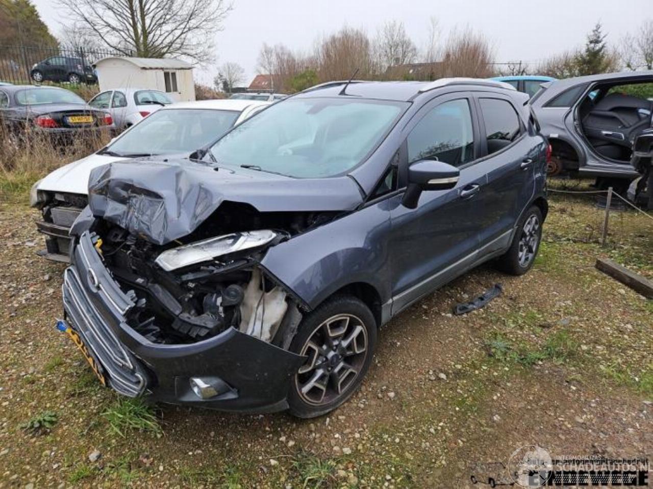 Ford EcoSport EcoSport (JK8), SUV, 2013 1.0 EcoBoost 12V 125