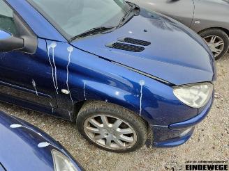 Peugeot 206 206 CC (2D), Cabrio, 2000 / 2007 1.6 16V picture 8