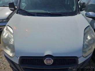 Fiat Doblo Doblo Cargo (263), Van, 2010 1.3 D Multijet picture 19