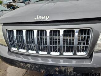 Jeep Grand-cherokee Grand Cherokee (WG/WJ), SUV, 1998 / 2005 2.7 CRD 20V picture 15