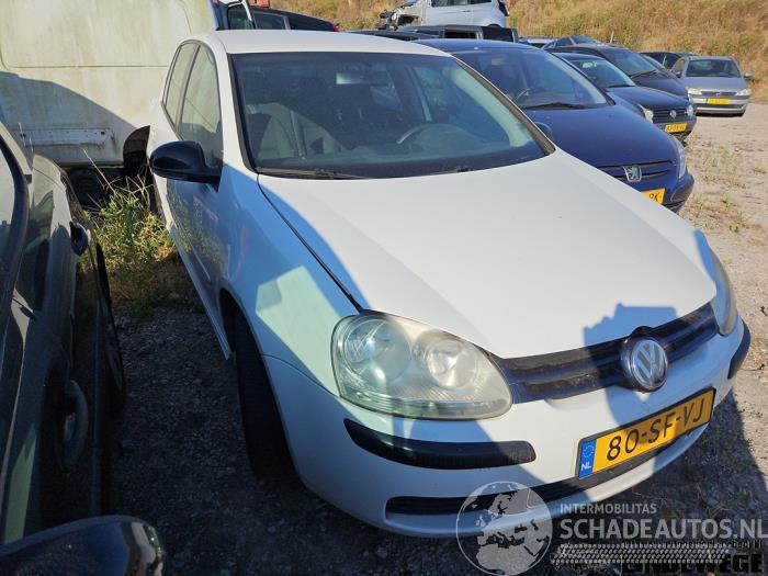 Volkswagen Golf Golf V (1K1), Hatchback, 2003 / 2010 1.6 FSI 16V