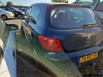 Peugeot 307 307 (3A/C/D), Hatchback, 2000 / 2009 1.6 16V picture 2