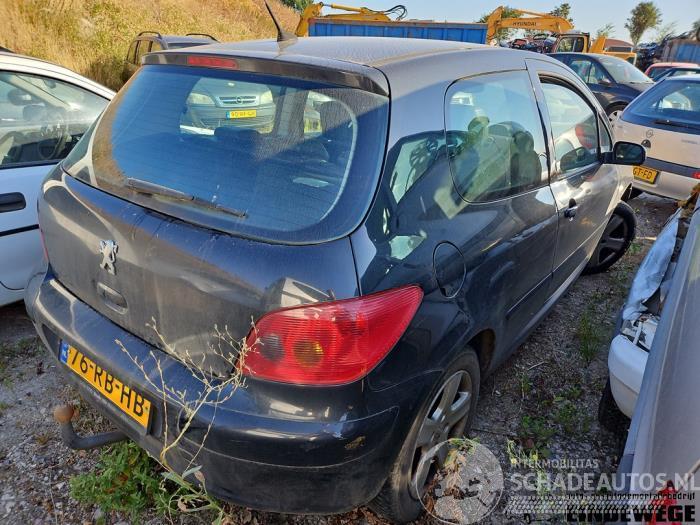 Peugeot 307 307 (3A/C/D), Hatchback, 2000 / 2009 1.6 16V