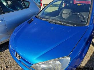 Peugeot 206 206 (2A/C/H/J/S), Hatchback, 1998 / 2012 1.6 16V picture 13