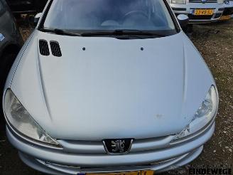 Peugeot 206 206 SW (2E/K), Combi, 2002 / 2007 1.6 16V picture 9