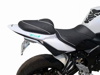 Suzuki GS 750 R picture 16