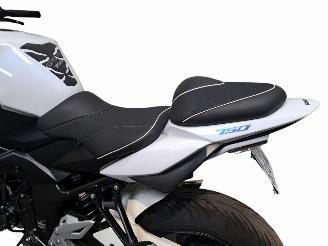 Suzuki GS 750 R picture 11