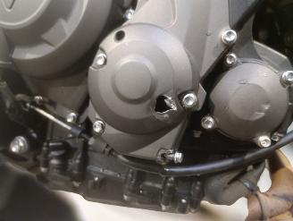 Triumph Trident 660  picture 6