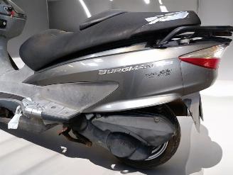 Suzuki  BURGMAN picture 19