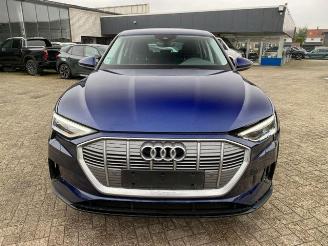 Audi E-tron 55 quattro picture 12