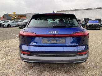 Audi E-tron 55 quattro picture 6
