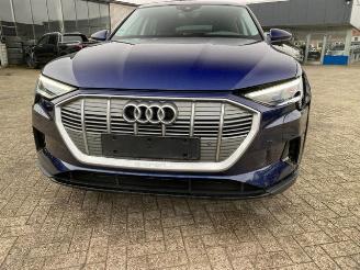 Audi E-tron 55 quattro picture 13