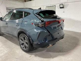 Cupra Formentor 1.5 TSI e-Hybrid picture 14