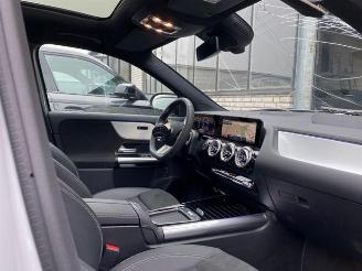 Mercedes GLA 250 4Matic AMG Line Advanced Plus Pano/AHK picture 17