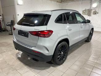 Mercedes GLA 250 4Matic AMG Line Advanced Plus Pano/AHK picture 10