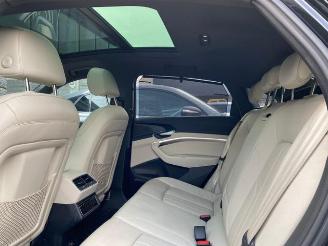 Audi E-tron Sportback 55 quattro HUD/PANO/360/B&O picture 14