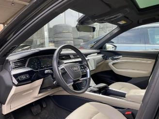 Audi E-tron Sportback 55 quattro HUD/PANO/360/B&O picture 12