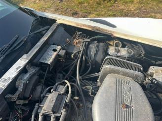 Chevrolet Corvette C3 picture 21