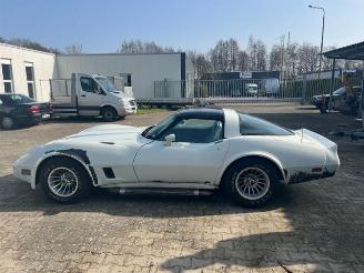 Chevrolet Corvette C3 picture 6