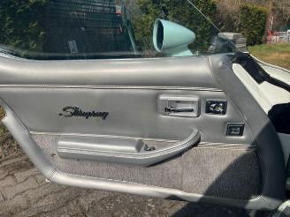 Chevrolet Corvette C3 picture 12