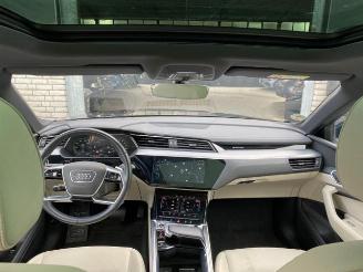 Audi E-tron Sportback 55 quattro HUD/PANO/360/B&O/TV picture 14