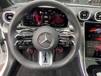 Mercedes Cl-klasse E 53 AMG 4Matic+ Coupe PANO/360/NAVI picture 20