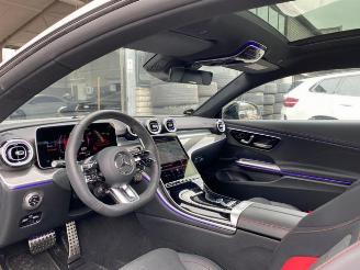 Mercedes Cl-klasse E 53 AMG 4Matic+ Coupe PANO/360/NAVI picture 13