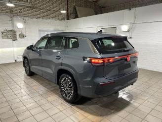 damaged passenger cars Volkswagen Tayron 2.0 TDI DSG 4Motion Life 7-Sitz AHK/360 2025/9