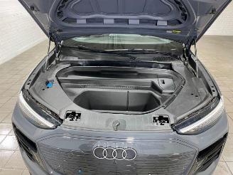 Audi Q6 e-tron 185kW 360/NAVI picture 11