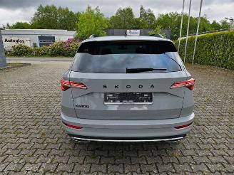 Skoda Karoq 1.5 TSI DSG Sportline KAM/NAVI picture 11