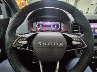 Skoda Karoq 1.5 TSI DSG Sportline KAM/NAVI picture 22