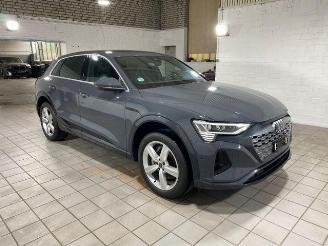 Audi Q8 e-tron 55 quattro advanced HUD/AHK/KAM/NAVI picture 3