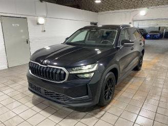 Skoda Kodiaq iV 1.5 TSI e-Hybrid Selection picture 2