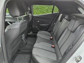 Peugeot 2008  picture 14