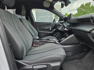 Peugeot 2008  picture 18