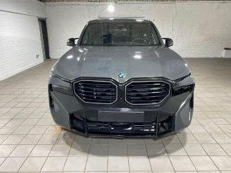 BMW XM ICONIC/HUD/360/AHK/H&K/NAVI picture 4