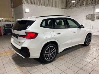 BMW X1 xDrive30e M Sport HUD/AHK/360/NAVI picture 8