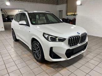 BMW X1 xDrive30e M Sport HUD/AHK/360/NAVI picture 10