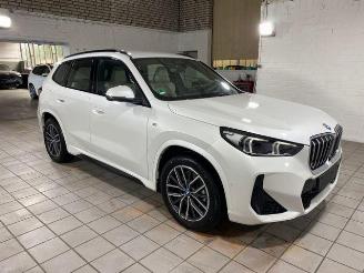 BMW X1 xDrive30e M Sport HUD/AHK/360/NAVI picture 9