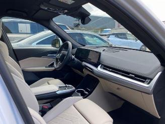 BMW X1 xDrive30e M Sport HUD/AHK/360/NAVI picture 22