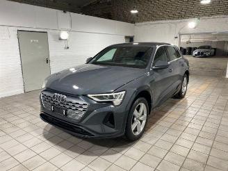 Audi Q8 e-tron 55 quattro advanced HUD/AHK/KAM/NAVI picture 4