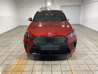 BMW iX2 xDrive30 M Sport Pro HUD/AHK/360/H&K/NAVI picture 6