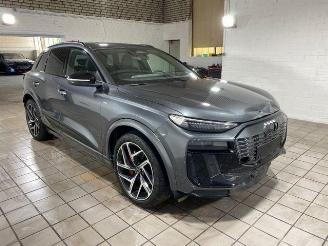 Audi Q6 e-tron Performance S line PANO/HUD/AHK/360/ picture 3