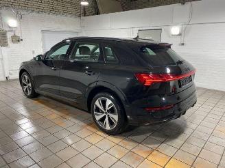 Audi Q8 e-tron 50 quattro S line HUD/360/NAVI picture 2