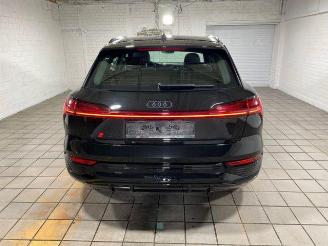 Audi Q8 e-tron 50 quattro S line HUD/360/NAVI picture 10
