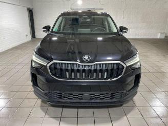Skoda Kodiaq iV 1.5 TSI e-Hybrid Selection picture 10