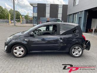 Renault Twingo Twingo II (CN), Hatchback 3-drs, 2007 / 2014 1.2 16V picture 8