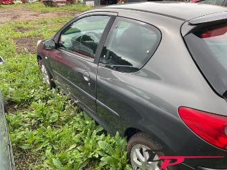 Peugeot 206 206+ (2L/M), Hatchback, 2009 / 2013 1.1 XR,XS picture 8