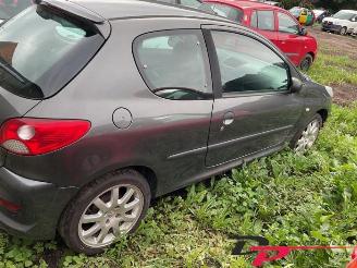 Peugeot 206 206+ (2L/M), Hatchback, 2009 / 2013 1.1 XR,XS picture 4